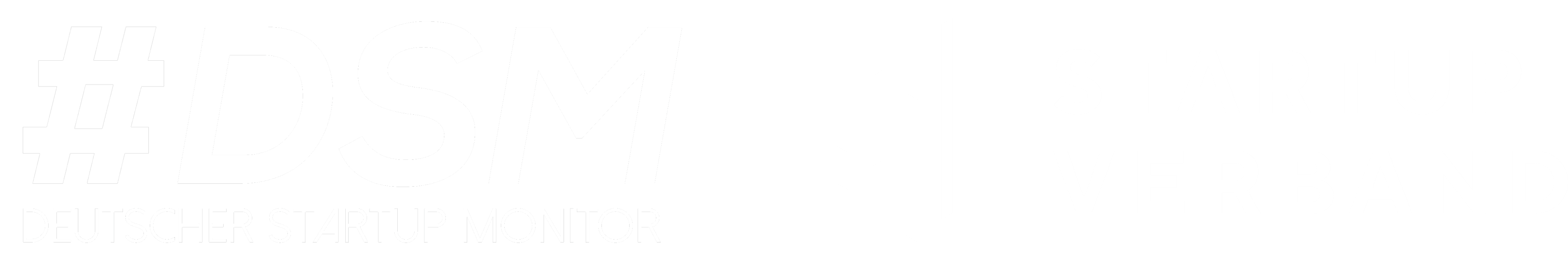 Deutscher Startup Monitor 2024